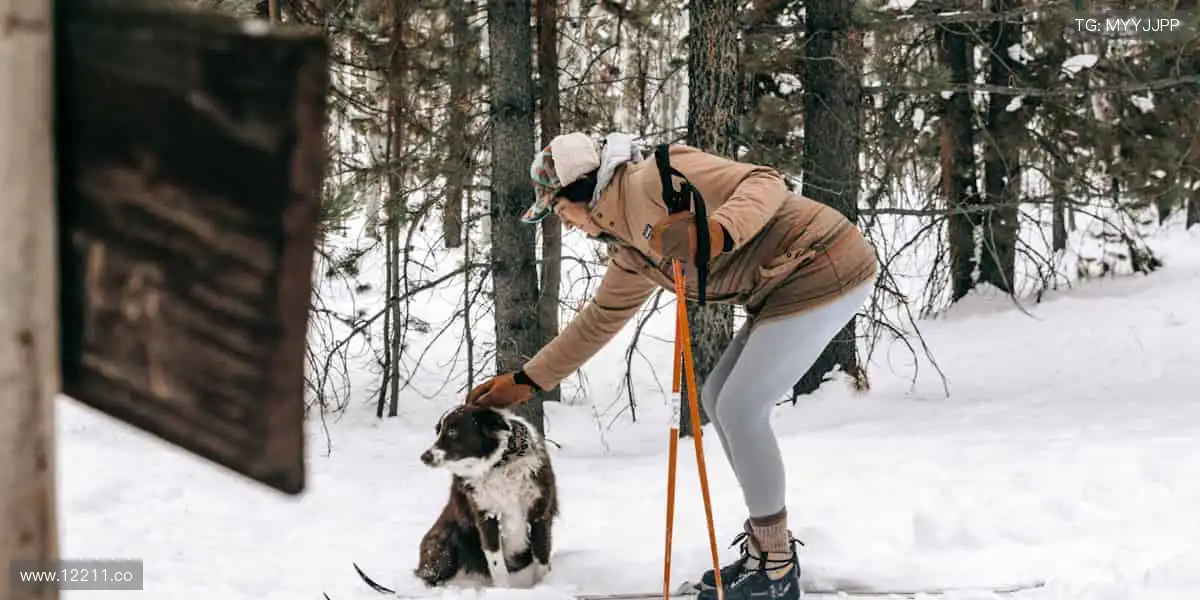 海棠小说，情感动人！💖📚